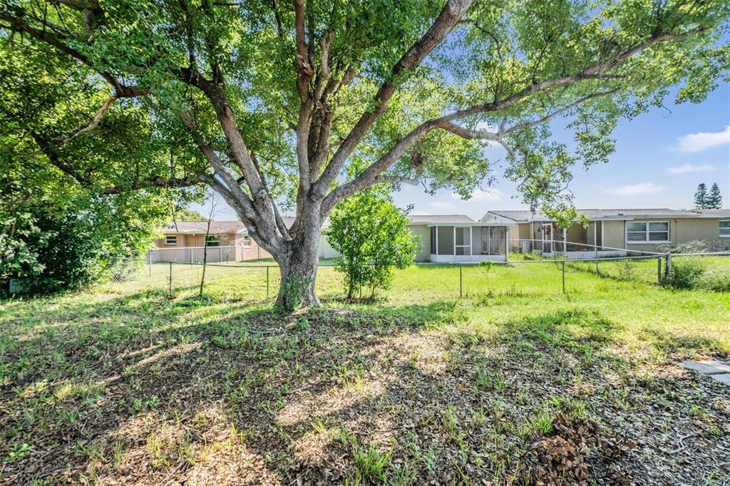 10810 Leeds Road Port Richey, FL 34668 - Photo 27 of 29 Fenced yard!