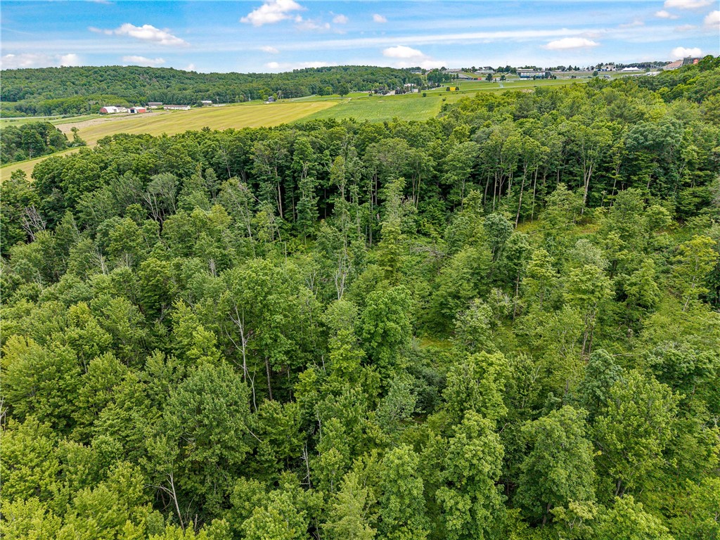 2868 Townsend Road Dix, NY 14891 - Photo 10 of 10