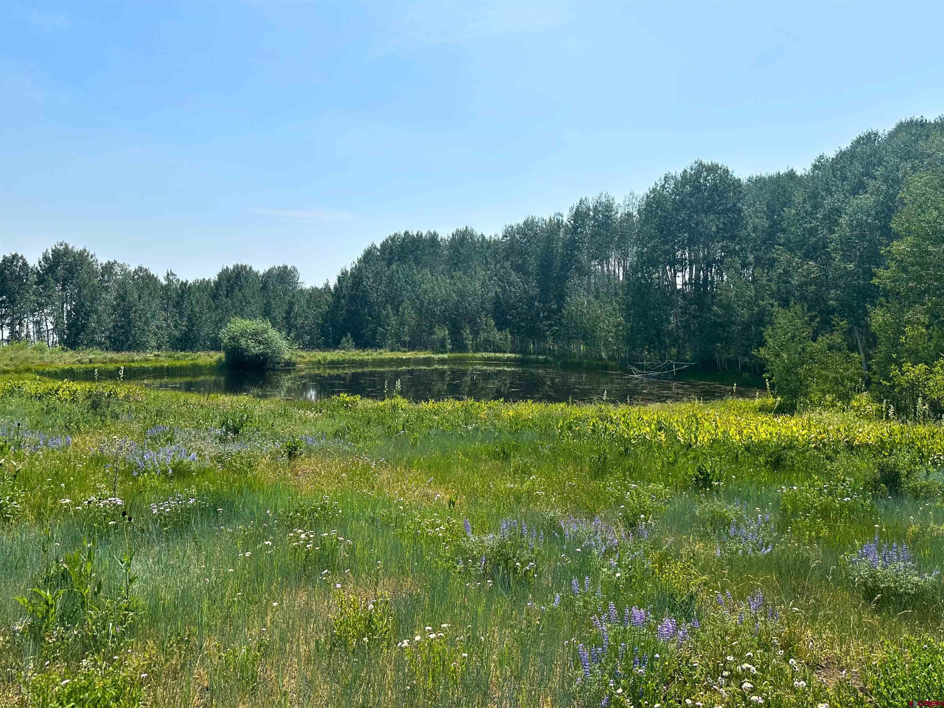 37081 Roatcap Road Paonia, CO 81428 - Photo 31 of 35