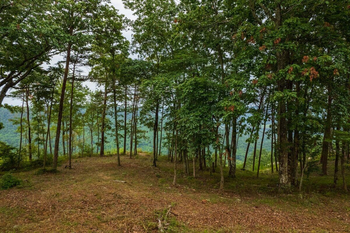 0 Crockett Pointe Point, Unit 170 Jasper, TN 37347 - Photo 4 of 35 DJI_0682-HDR