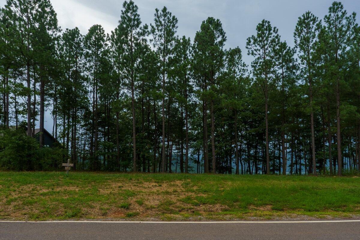 0 Crockett Pointe Point, Unit 170 Jasper, TN 37347 - Photo 5 of 35 DSC05698-HDR