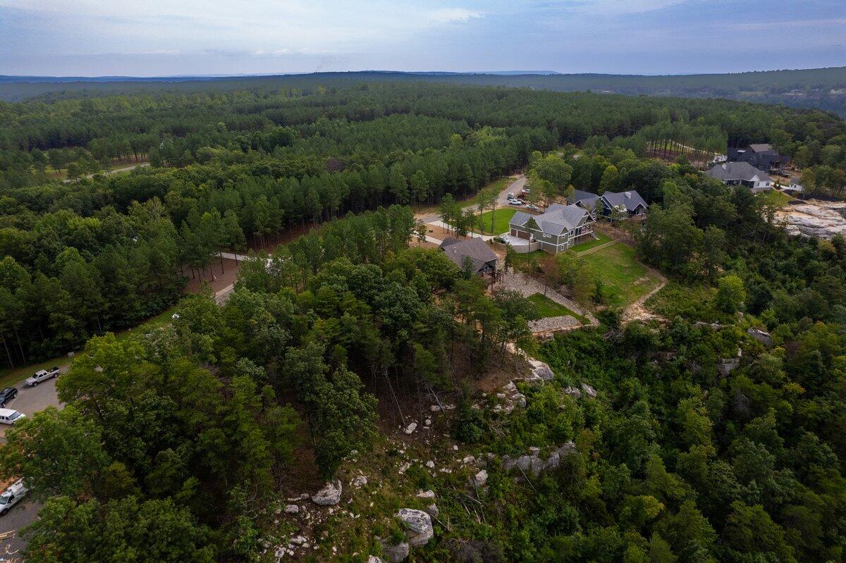 0 Crockett Pointe Point, Unit 170 Jasper, TN 37347 - Photo 6 of 35 DJI_0647