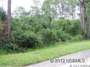 4191 Quail Ranch Road New Smyrna Beach, FL 32168 - Photo 3 of 6 Gallery Image 3
