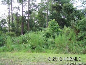 4191 Quail Ranch Road New Smyrna Beach, FL 32168 - Photo 4 of 6 Gallery Image 4