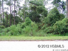 4191 Quail Ranch Road New Smyrna Beach, FL 32168 - Photo 5 of 6 Gallery Image 5