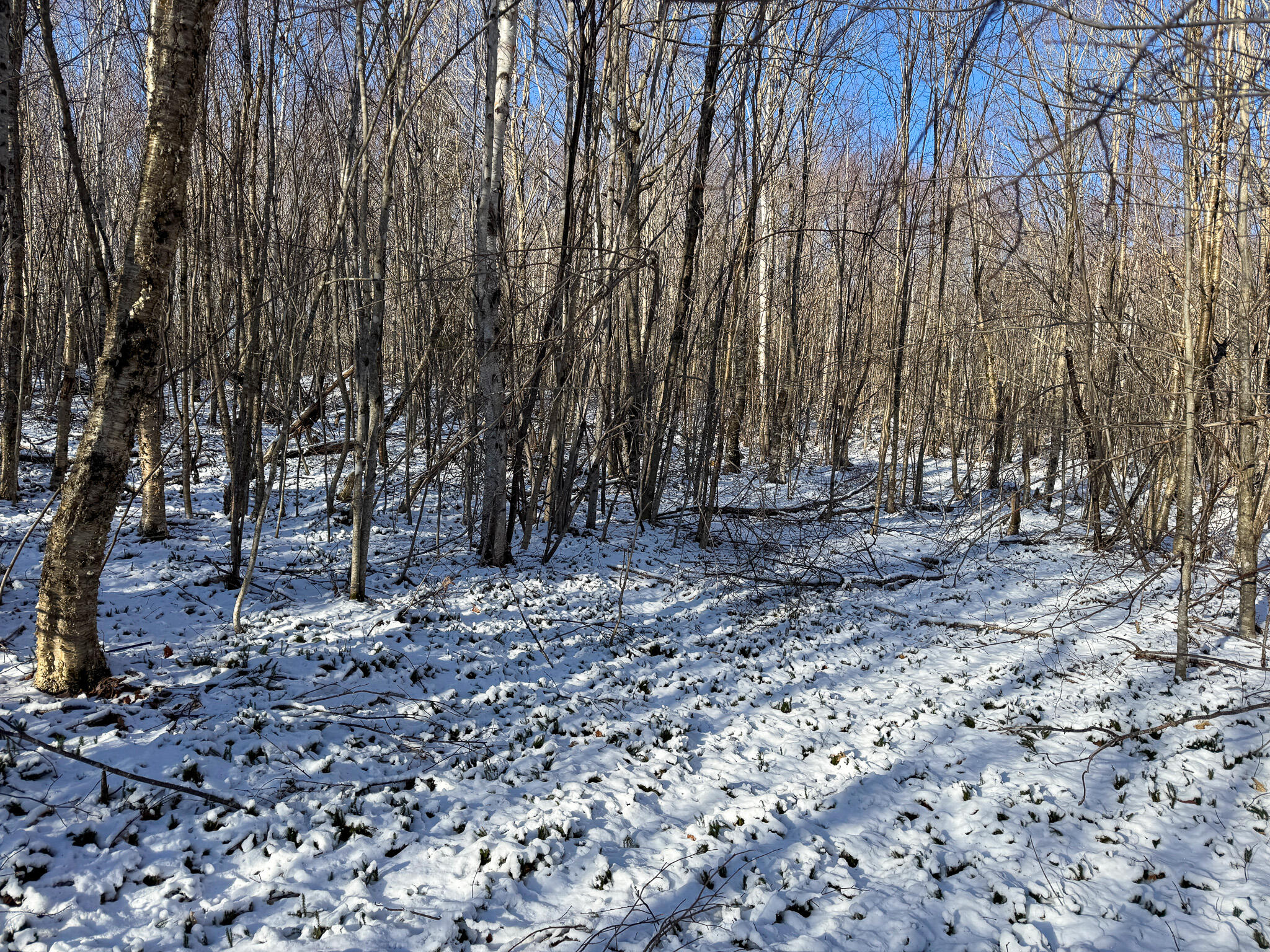 Lot 15 Upper Dobsis Road Lakeville, ME 04487 - Photo 26 of 35 26