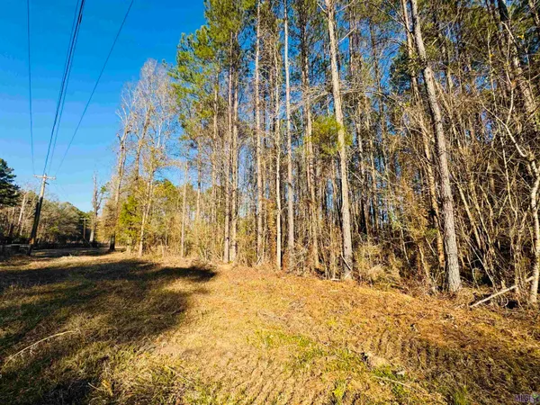 $44,500 | Lot 21 La Highway, Pine Grove, LA 70453