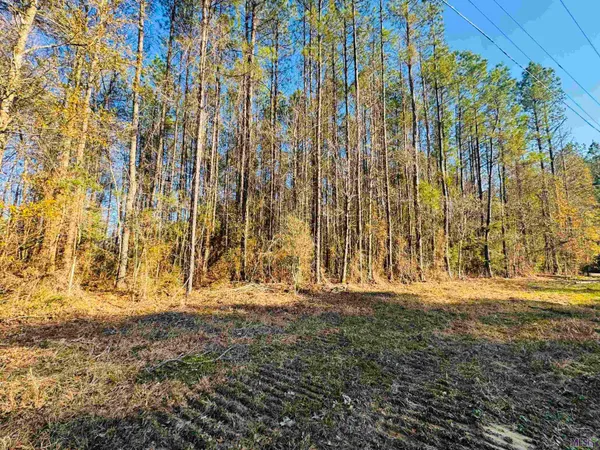$44,500 | Lot 21 La Highway, Pine Grove, LA 70453