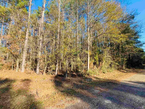 $44,500 | Lot 21 La Highway, Pine Grove, LA 70453