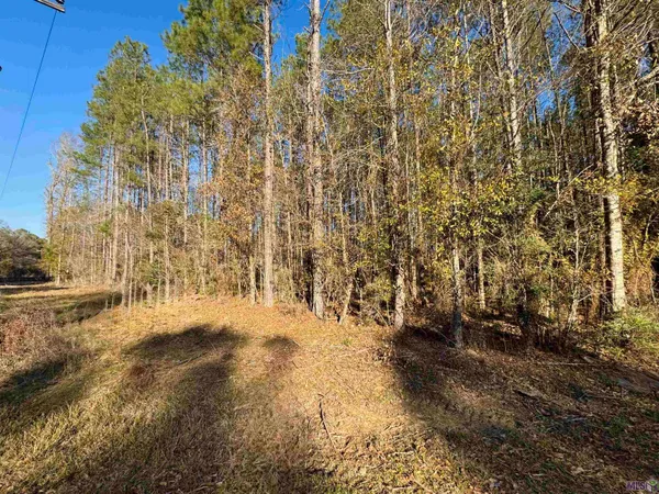 $44,500 | Lot 21 La Highway, Pine Grove, LA 70453