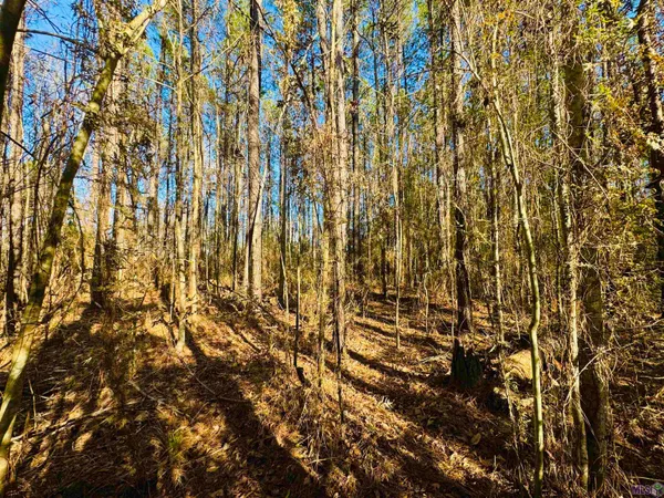$44,500 | Lot 21 La Highway, Pine Grove, LA 70453