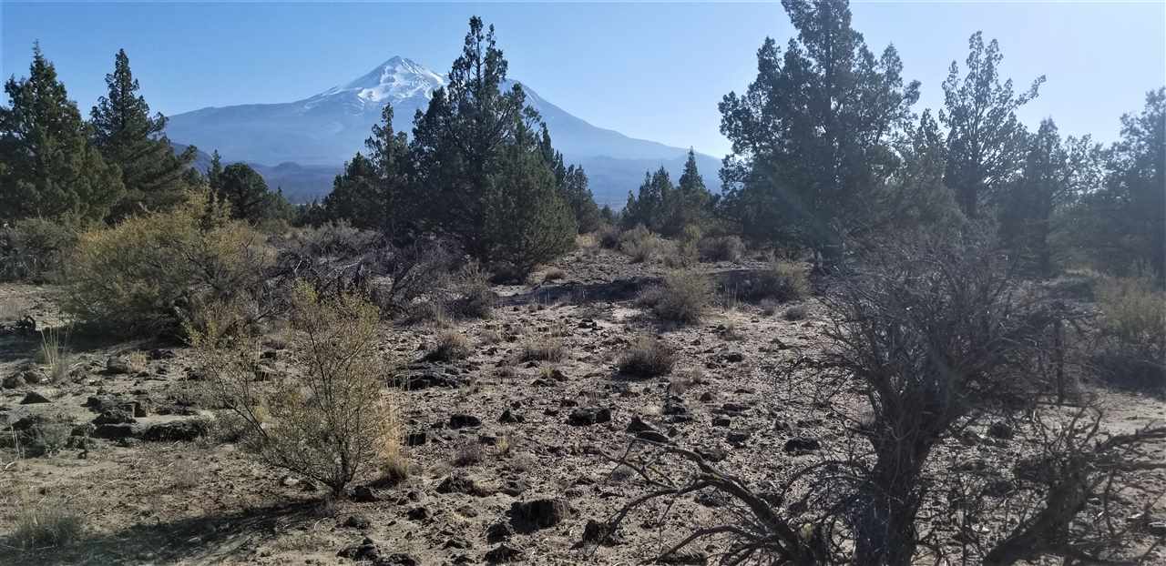 Lot 4 Lost Mine Road Montague, CA 96064 - Photo 1 of 8 Gallery Image 1