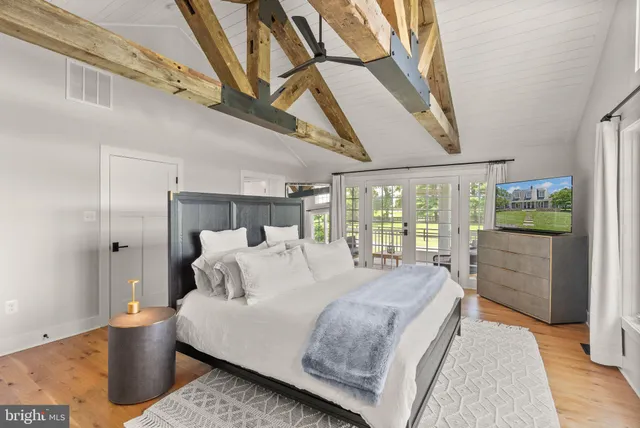 a view of a park with large trees