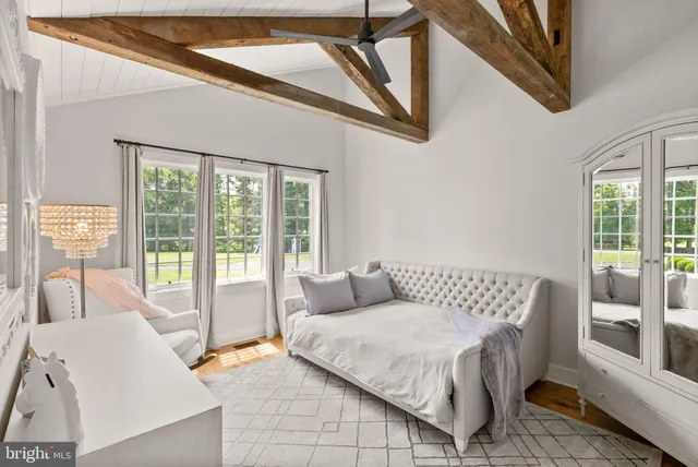 a view of a park with large trees