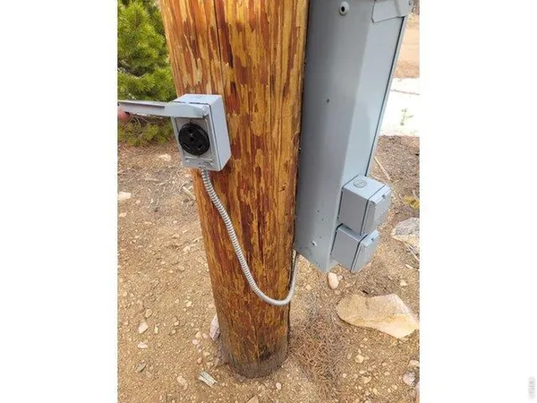 a very nice looking room with a large tree