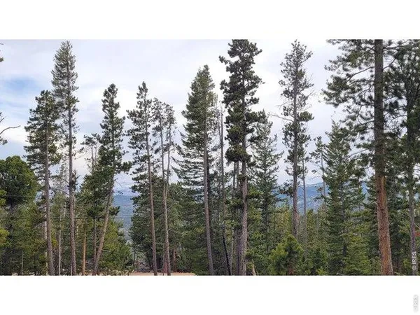 a view of outdoor space with lots of trees