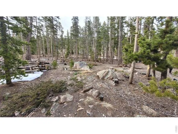 a open area with trees in the background