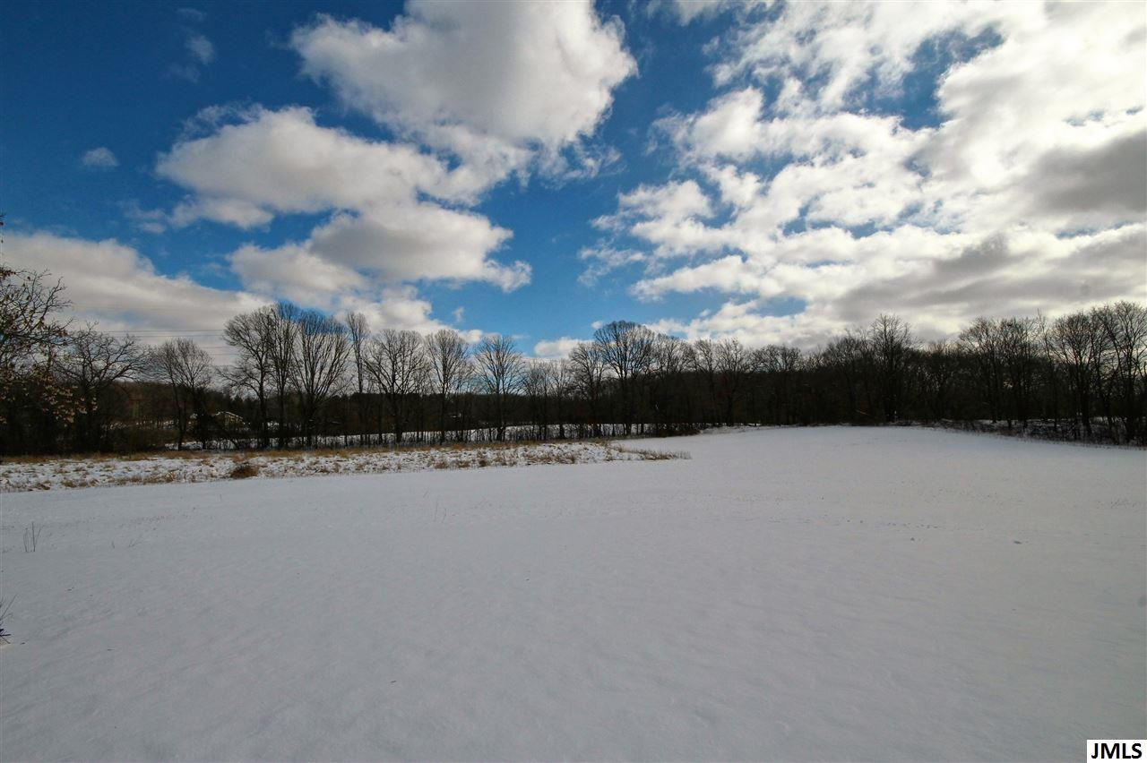 5701 Kibby Road Jackson, MI 49201 - Photo 4 of 25 Photo 4