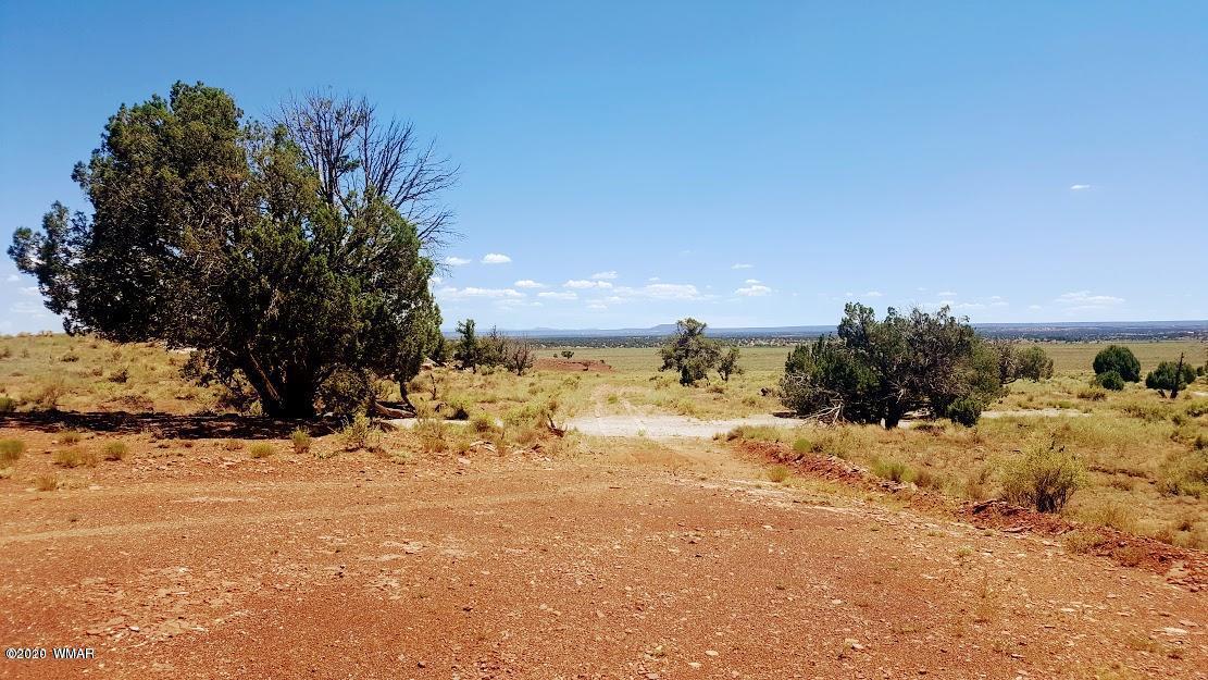 Lot 46 River Meadows Ranch, Unit 1 Concho, AZ 85924 - Photo 3 of 10
