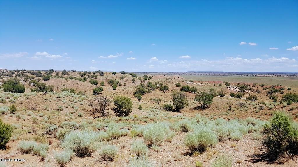 Lot 46 River Meadows Ranch, Unit 1 Concho, AZ 85924 - Photo 4 of 10