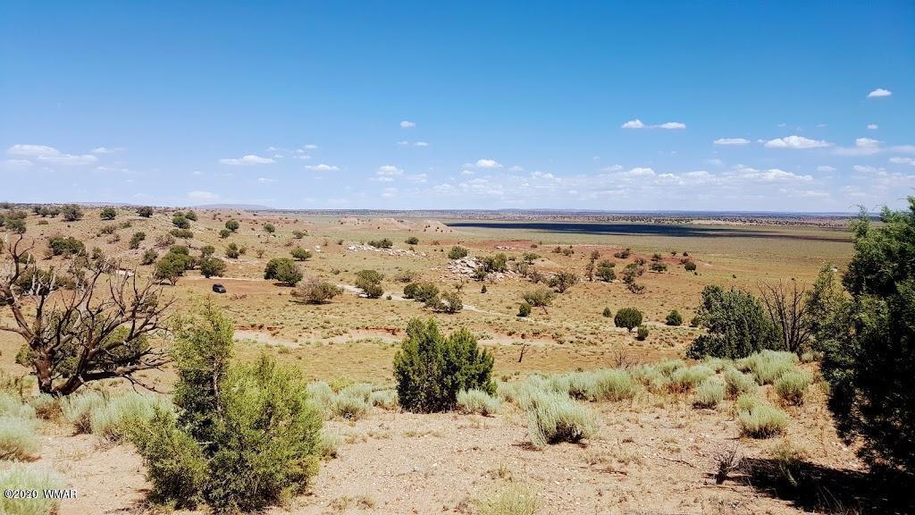 Lot 46 River Meadows Ranch, Unit 1 Concho, AZ 85924 - Photo 5 of 10