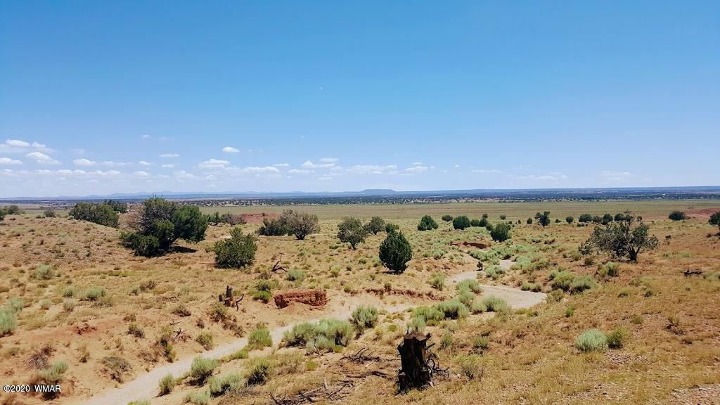 Lot 46 River Meadows Ranch, Unit 1 Concho, AZ 85924 - Photo 6 of 10