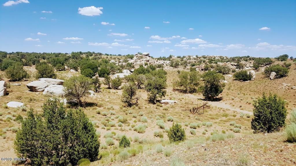 Lot 46 River Meadows Ranch, Unit 1 Concho, AZ 85924 - Photo 7 of 10