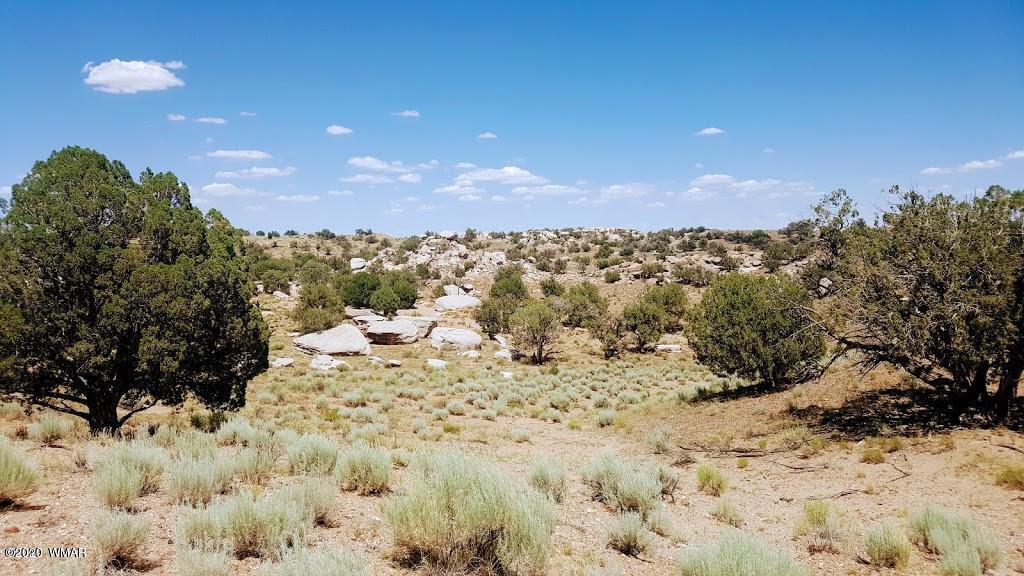 Lot 46 River Meadows Ranch, Unit 1 Concho, AZ 85924 - Photo 8 of 10