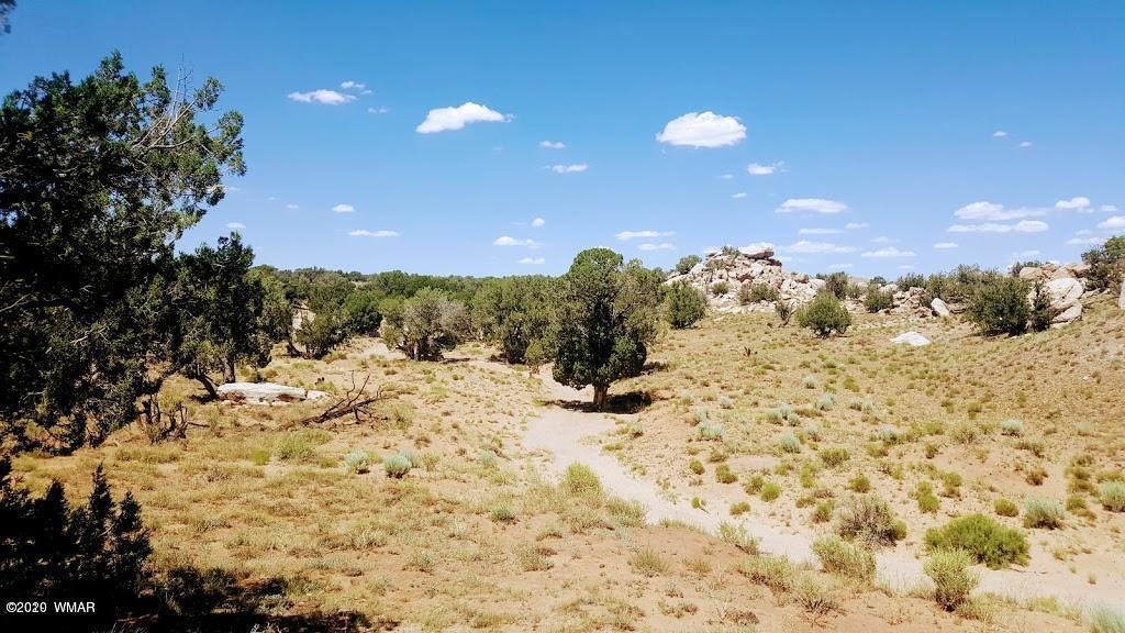 Lot 46 River Meadows Ranch, Unit 1 Concho, AZ 85924 - Photo 9 of 10