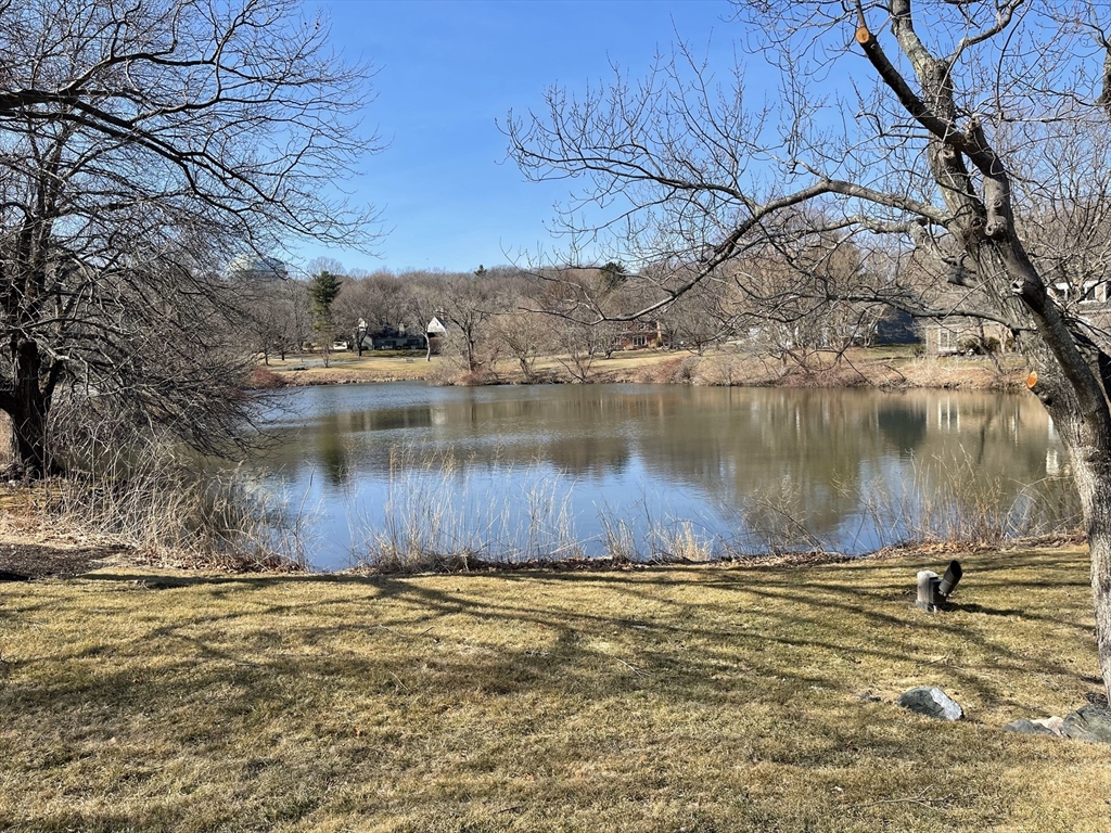 93 Potter Pond, Unit 93 Lexington, MA 02421 - Photo 39 of 42 a view of a lake view