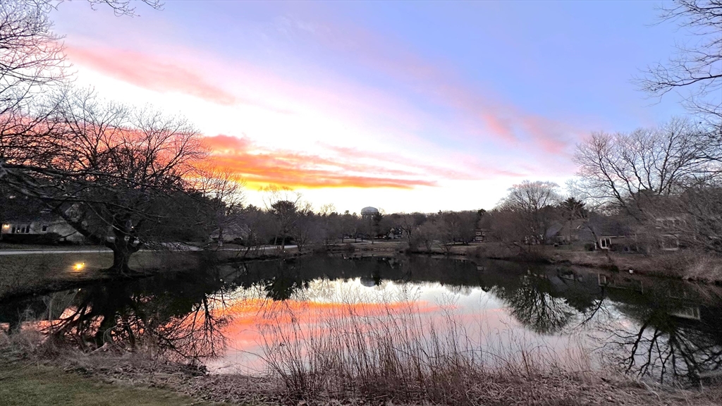 93 Potter Pond, Unit 93 Lexington, MA 02421 - Photo 40 of 42 a view of a lake in between the mountain and trees