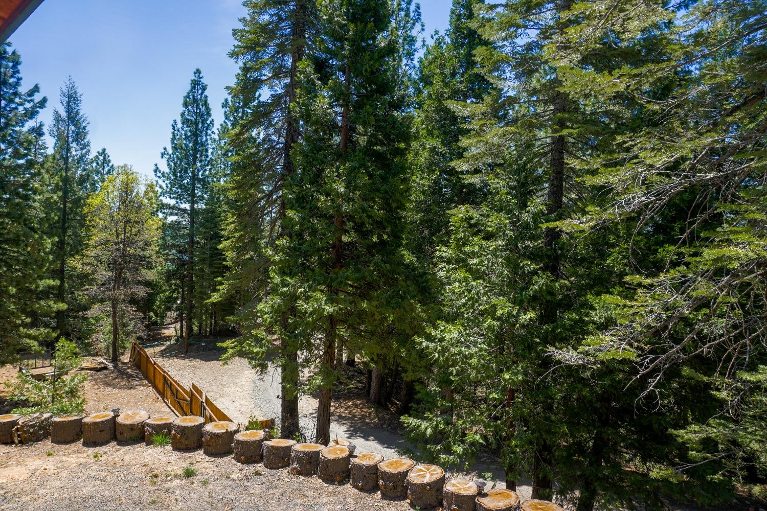 10671 Lowell Hill Road Nevada City, CA 95959 - Photo 26 of 35 a view of a tree with a park