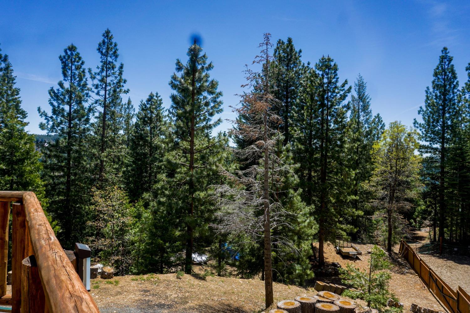 10671 Lowell Hill Road Nevada City, CA 95959 - Photo 27 of 35 a view of a outdoor space