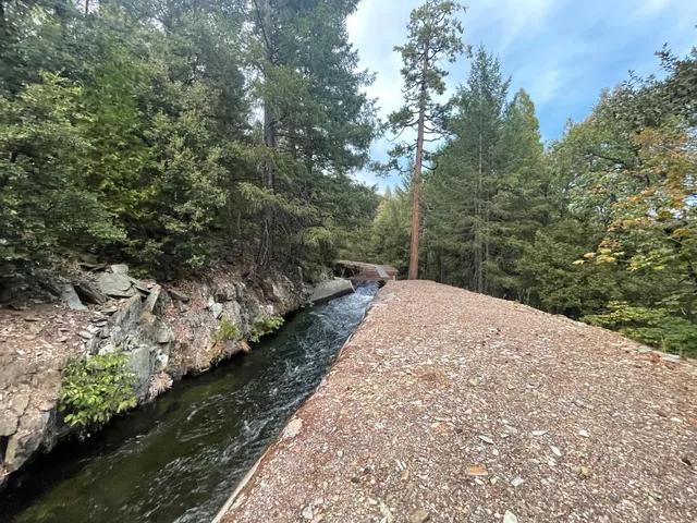 a view of a pathway both side of yard