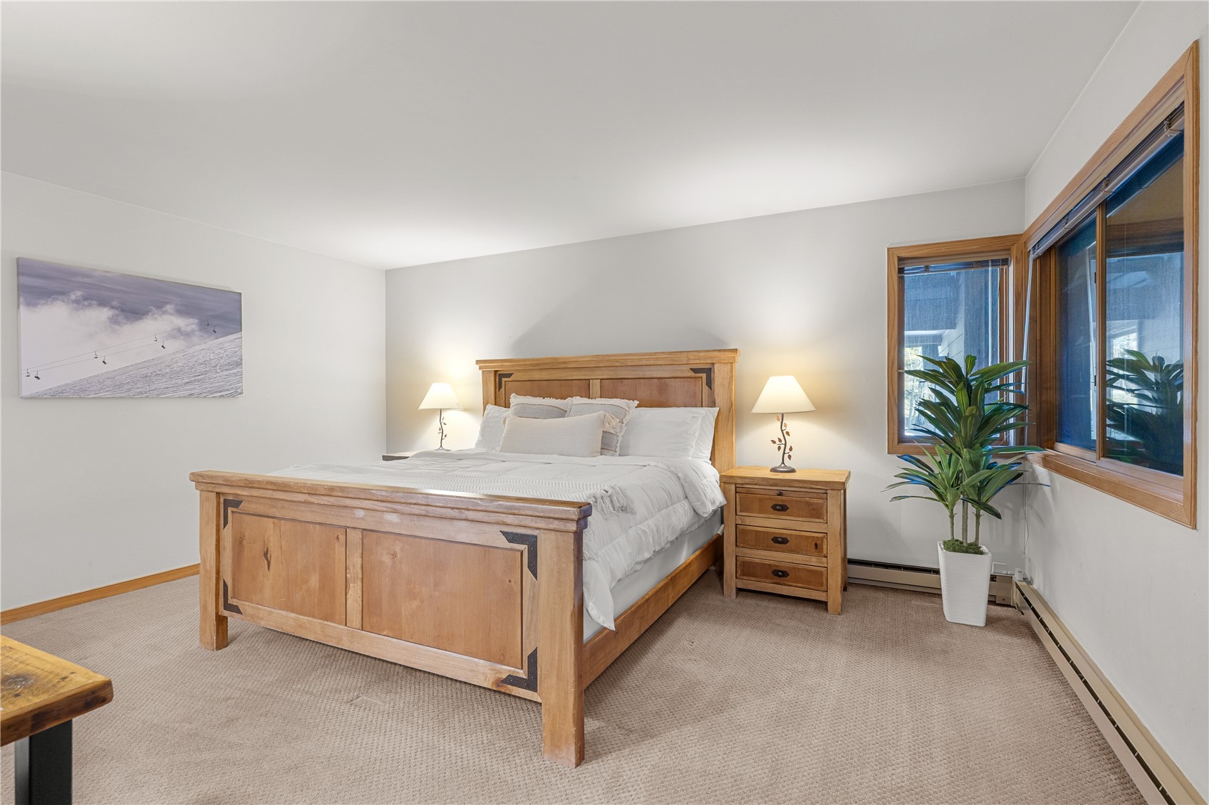 22804 Highway 6, Unit 102 Keystone, CO 80435 - Photo 12 of 34 a bed room with a bed and a potted plant