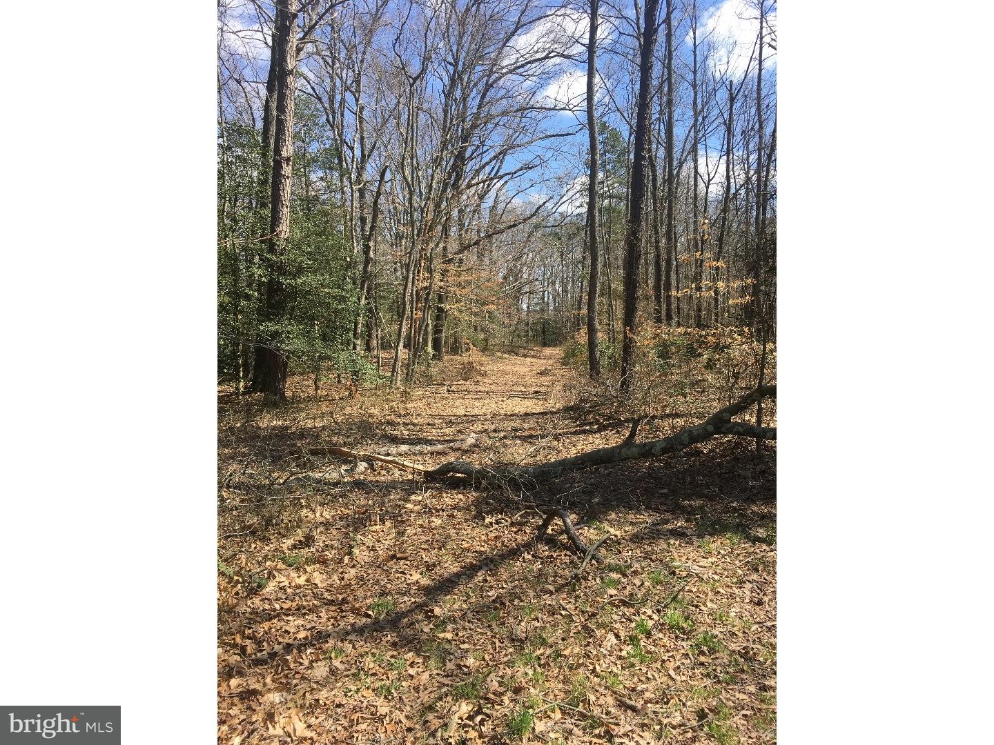L-39 Telegraph Road Alloway, NJ 08001 - Photo 3 of 8