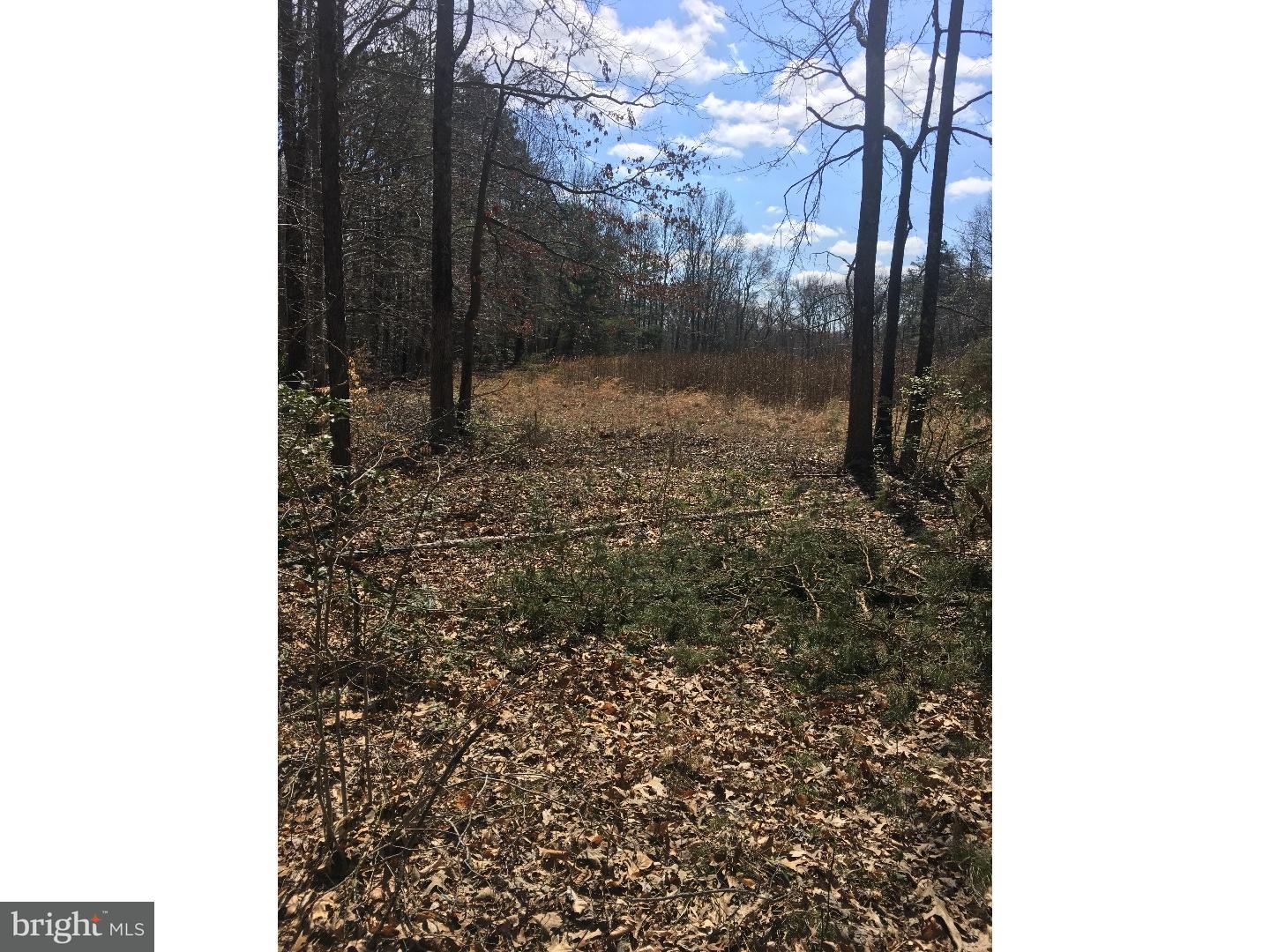 L-39 Telegraph Road Alloway, NJ 08001 - Photo 4 of 8