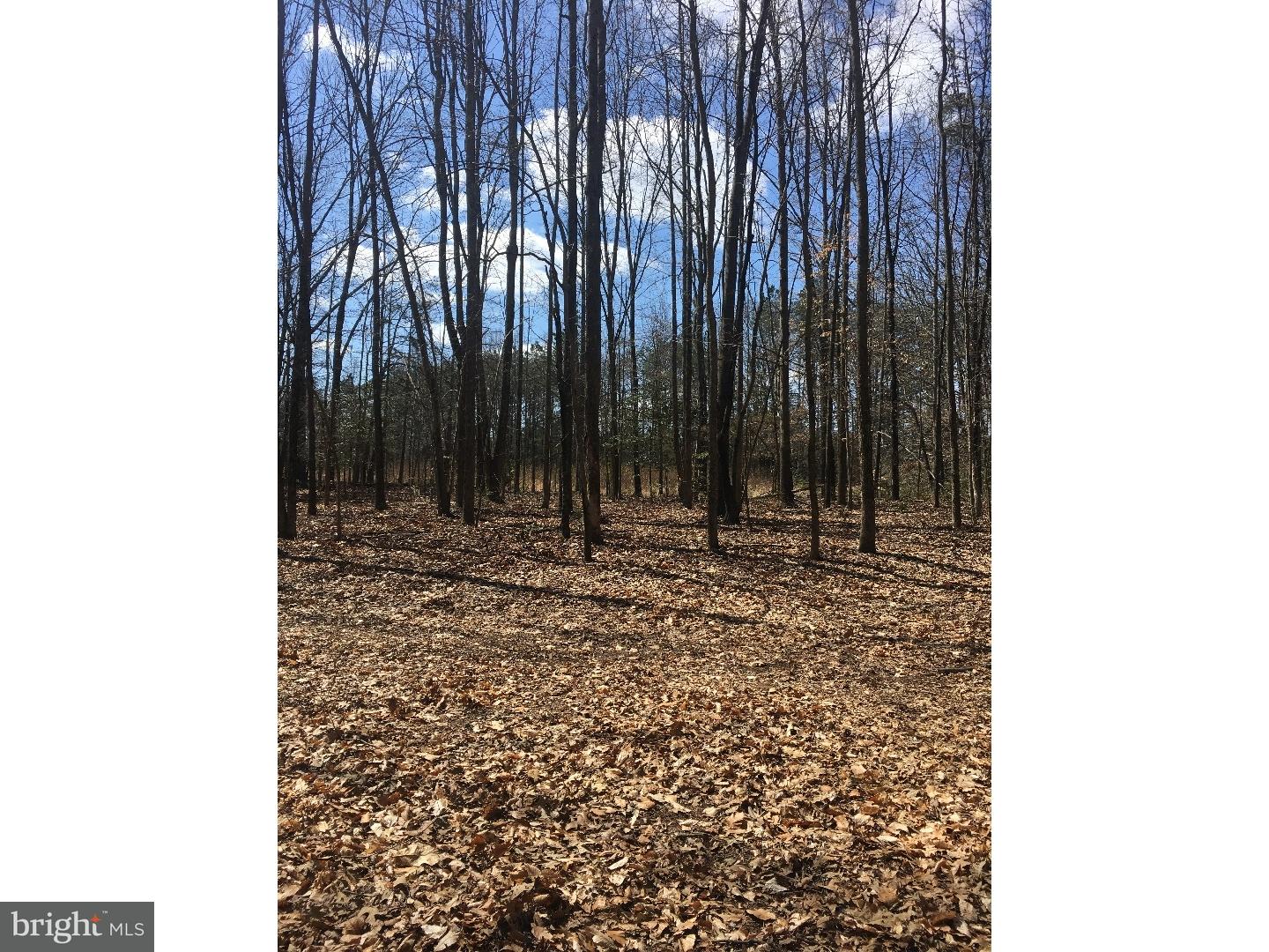 L-39 Telegraph Road Alloway, NJ 08001 - Photo 5 of 8