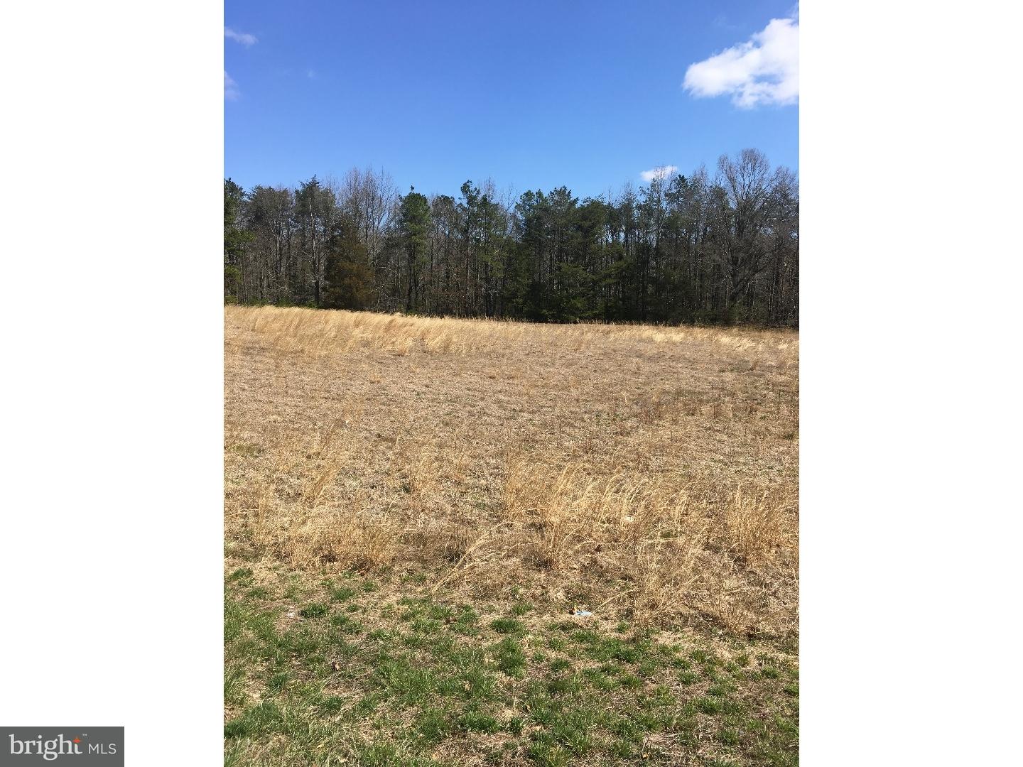 L-39 Telegraph Road Alloway, NJ 08001 - Photo 7 of 8