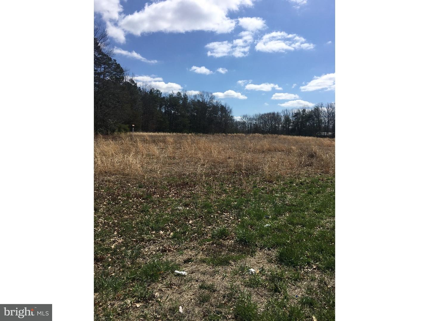 L-39 Telegraph Road Alloway, NJ 08001 - Photo 8 of 8