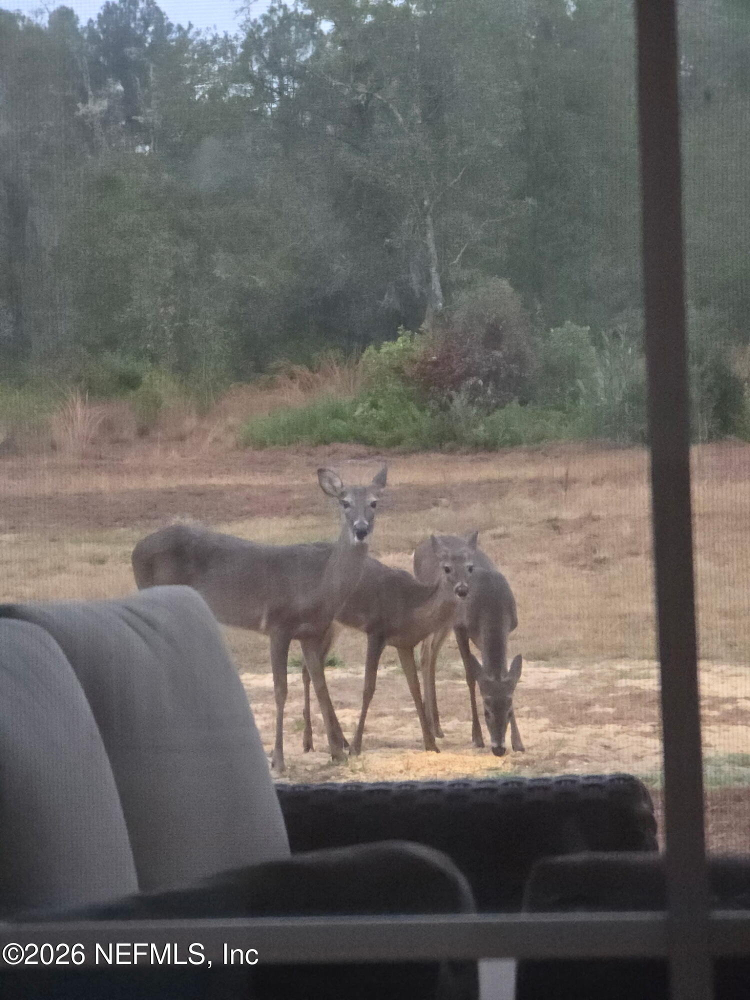 5012 Laurel Street Middleburg, FL 32068 - Photo 26 of 33 a view of balcony with furniture