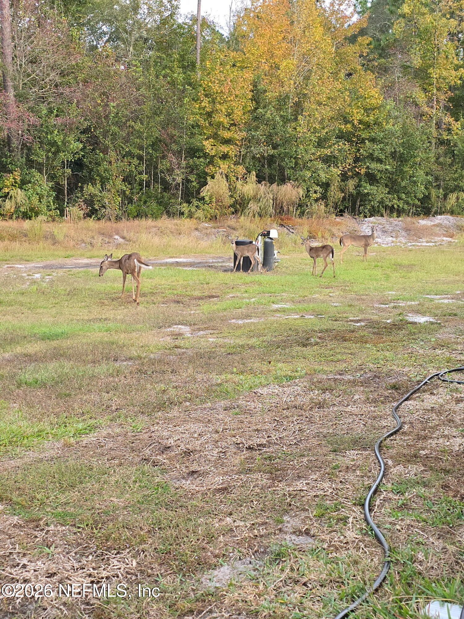 5012 Laurel Street Middleburg, FL 32068 - Photo 29 of 33