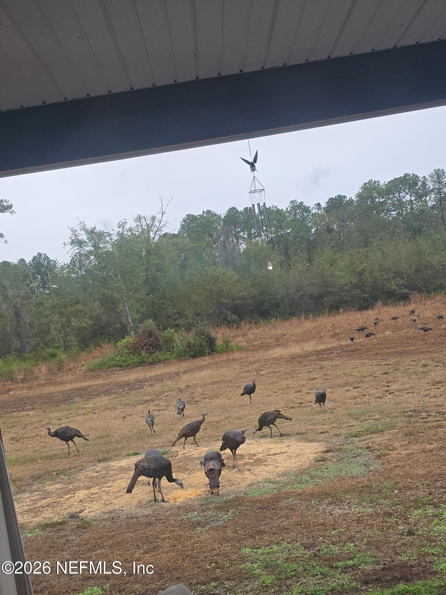 5012 Laurel Street Middleburg, FL 32068 - Photo 30 of 33 a view of a lake view