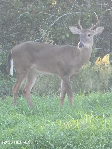 a view of a lake with a mountain