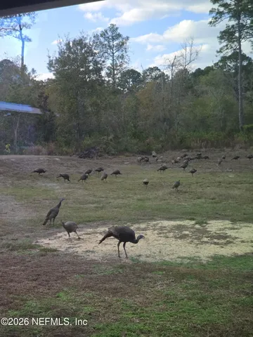 $750,000 | 5012 Laurel Street, Middleburg, FL 32068