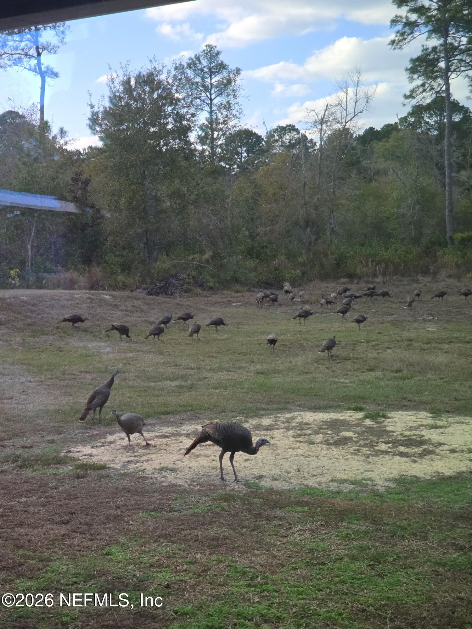5012 Laurel Street Middleburg, FL 32068 - Photo 33 of 33 a view of a lake with a mountain