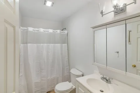 a bathroom with a sink and a toilet