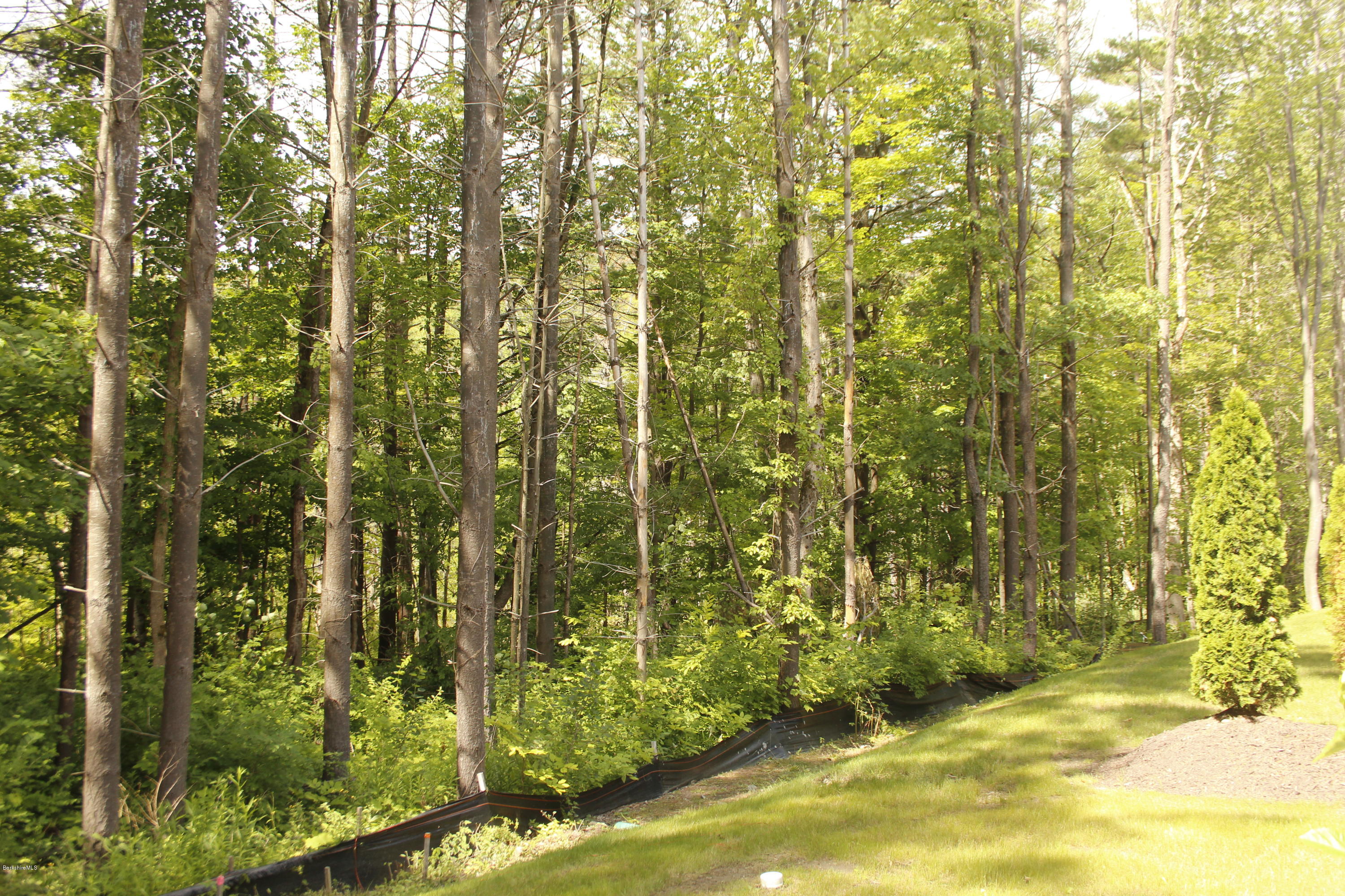 55 Pittsfield Road Lenox, MA 01240 - Photo 1 of 30 BackYard Sanctuary