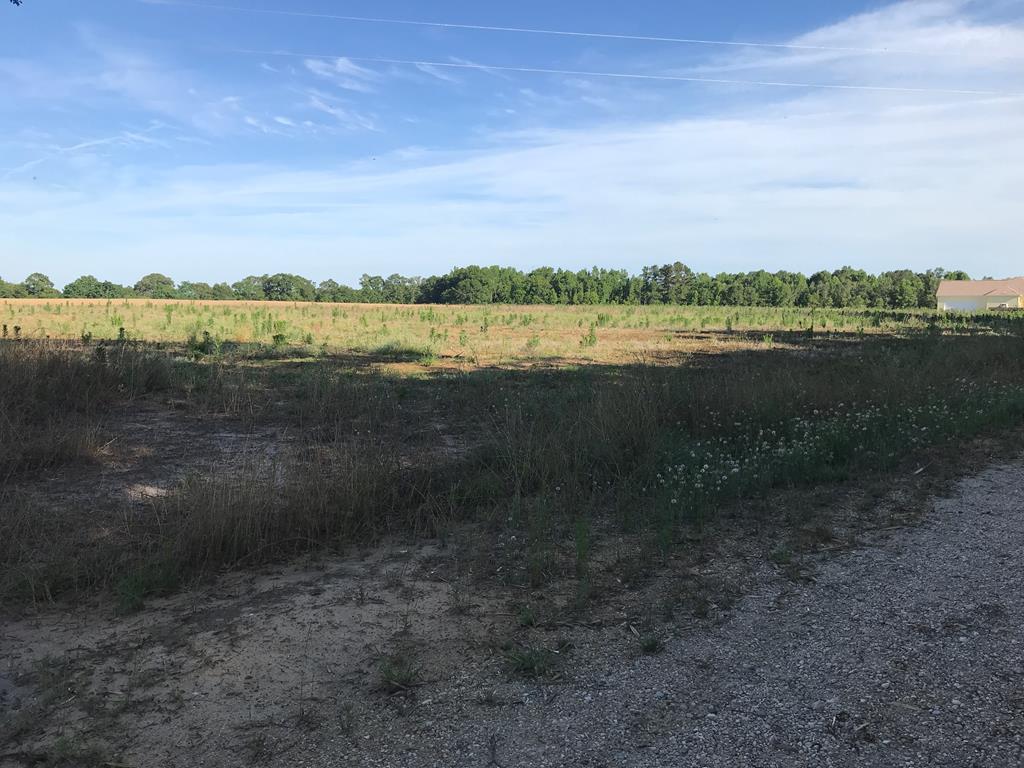 Lot 2 Hosea Dothan, AL 36301 - Photo 1 of 1
