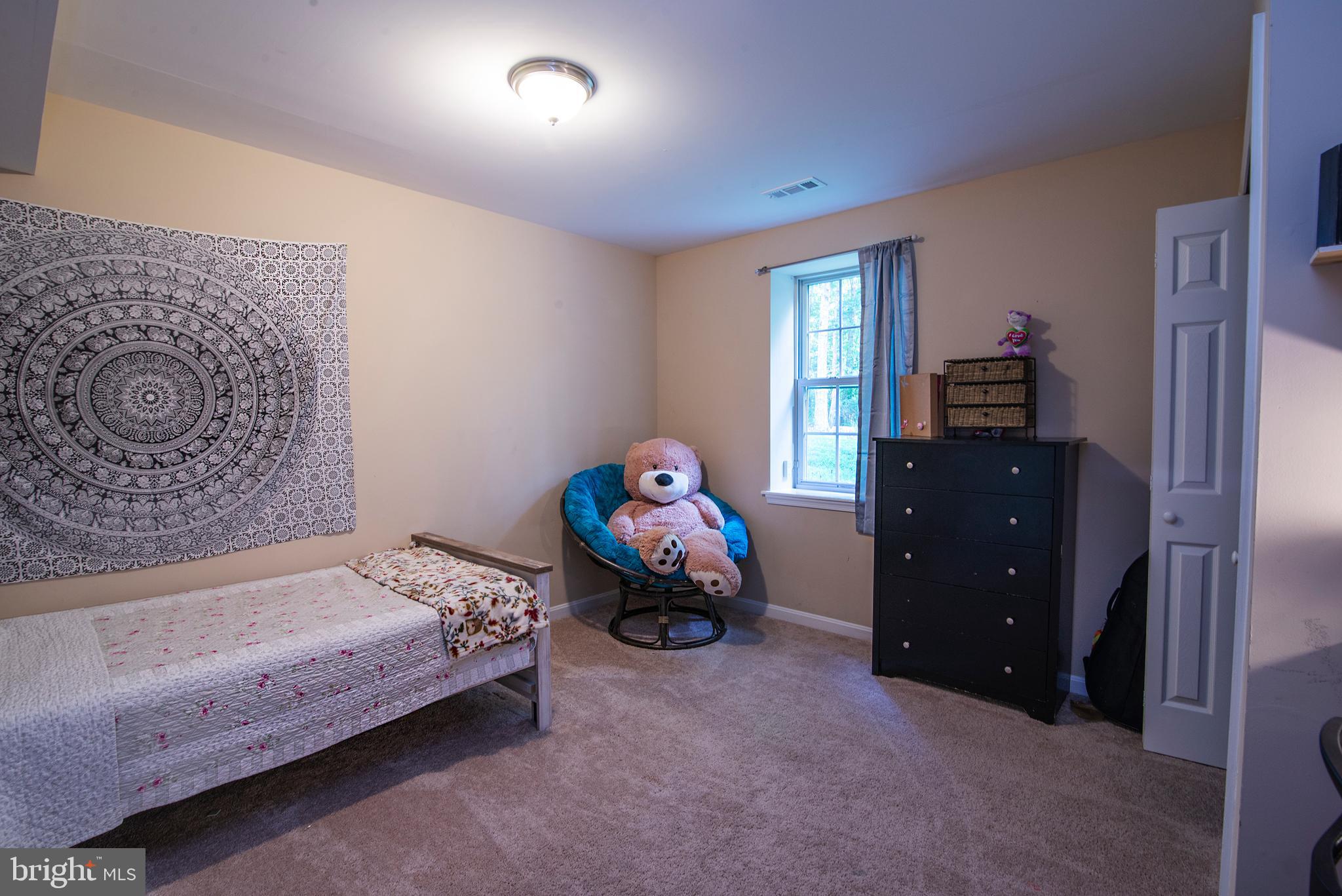 704 Gold Valley Road Locust Grove, VA 22508 - Photo 13 of 39 Large Bedroom on lower level